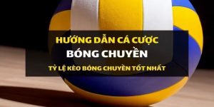 cách chơi cá độ bóng chuyền